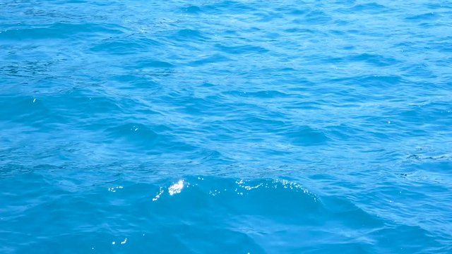 Sea water surface, view from moving boat. Small waves, sunny summer day. Natural background.