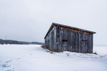 Barn landscape in winter