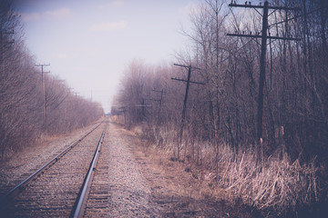 Fototapeta premium railway landscape crossing the forests
