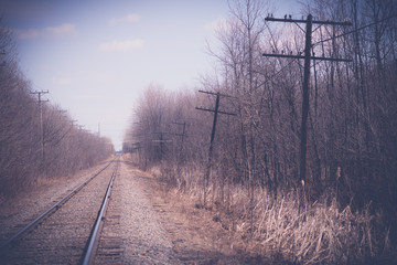 Fototapeta na wymiar railway landscape crossing the forests