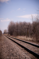 Fototapeta premium railway landscape crossing the forests