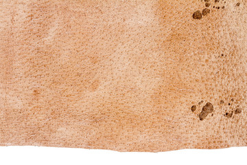 Piece of brown leather, back side