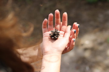 hands with pinecone 3