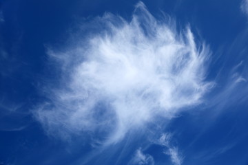 Fototapeta na wymiar Cirrus clouds in summer in the polar regions of Yamal