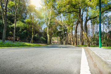 Summer travel in Florida by car in sunny weather, beautiful view of long direct highway road, coconut palms, bright green fields and tropical trees on both sides of the road, blue sky with clouds