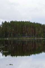 Fototapeta na wymiar Small bay in a lake, filled with trees during a cloudy day in summer. Swedish summer as seen outside the cities. Water creating a mirror reflection of the forest and clouds in the water. 