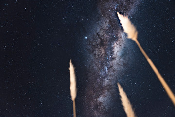 milky way in the hills