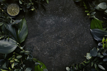 Dark green tropical leaves on natural black stone background with copyspace