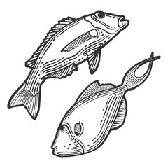 Fish. Vector concept in doodle and sketch style. Hand drawn illustration for printing on T-shirts, postcards.