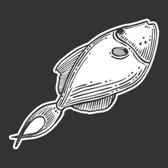 Fish. Vector concept in doodle and sketch style. Hand drawn illustration for printing on T-shirts, postcards.