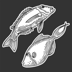 Fish. Vector concept in doodle and sketch style. Hand drawn illustration for printing on T-shirts, postcards.