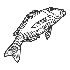 Fish. Vector concept in doodle and sketch style. Hand drawn illustration for printing on T-shirts, postcards.