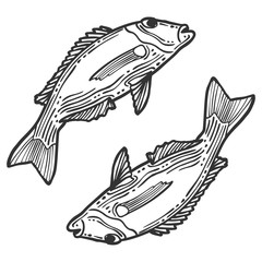 Fish. Vector concept in doodle and sketch style. Hand drawn illustration for printing on T-shirts, postcards.