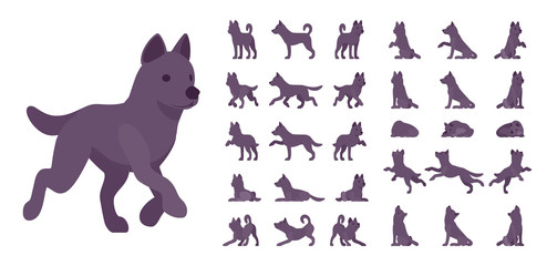 Black dog set. Medium size pet, family companion, active fun, home guarding, farm security, cute agile breed. Vector flat style cartoon illustration isolated, white background, different views, poses