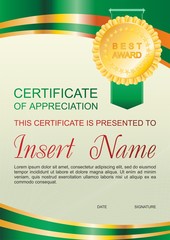 Vector template certificate of appreciation  with colorful stripy pattern and place for text. Design usable for diploma for best student, invitation, gift voucher, coupon, official or different awards