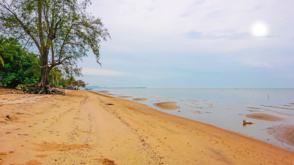 Tropical beach wih sea and sky in morning Thailand.Beautiful beach with forest and sky