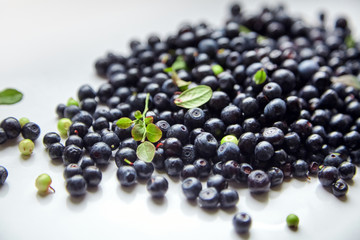 Bilberries with green leaves on white background, many scattered fresh dark blue berries (European blueberries)