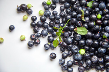 Bilberries with green leaves on white background, many scattered fresh dark blue berries (European blueberries)