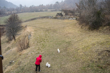 People and dogs playing on the backyard mountain landscape