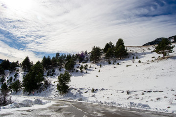 Landscape after snowing full of sun at the pirenair mountains in aragon