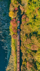 京都　トロッコ列車　空撮　ドローン　DJI　秋　紅葉　保津峡