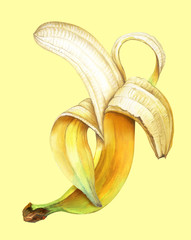Ripe banana on yellow background. Watercolor illustration.