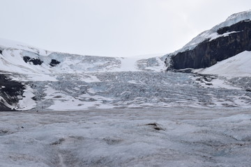 glacier in iceland