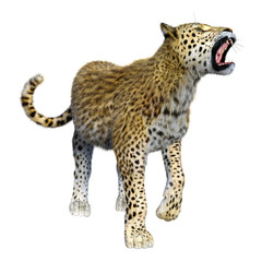 3D Rendering Big Cat Leopard on White