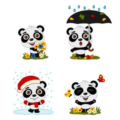 Set of funny Panda bears in different seasons - summer, autumn, winter, spring - isolated on white background
