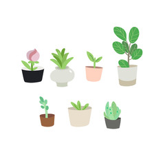  Indoor potted plants set