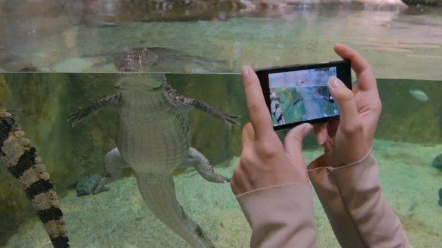 Woman taking pictures of fishes with smartphone. Technology and entertainment concept