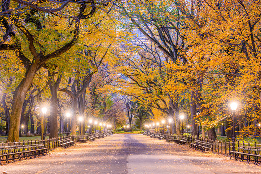 Central Park New York City Autumn