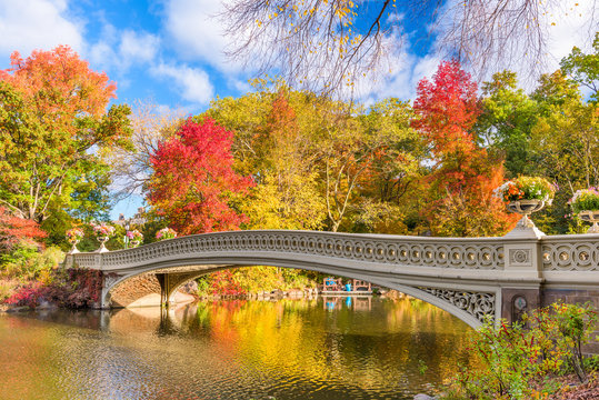 New York City Central Park