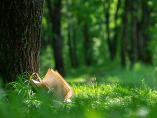 An open book lying in the Park near the tree. Layout with copyspace. Nature background