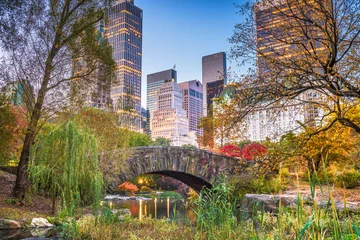 Foto auf Acrylglas Antireflex Gapstow-Brücke Central Park, New York City Herbst