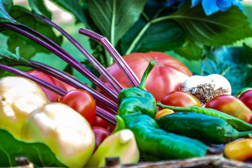 Vegetables pepper  green
