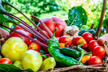 fresh vegetables in a basket