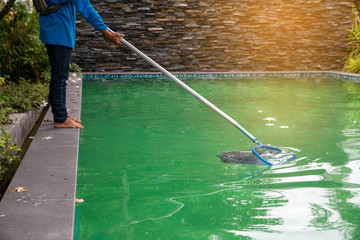 A man , personnel cleaning the pool from leaves