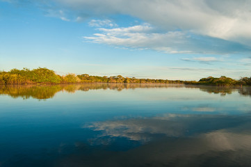 Pantanal