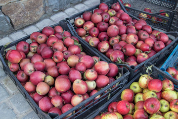 red apples picked in crates,Homemade apples are packed in plastic boxes ready for sale on the market