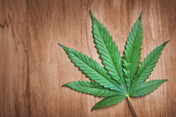 cannabis leaf on wooden background with copyspace