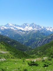 Fototapeta na wymiar The Alps during a sunny summer day in Val Bognanco, near the town of Domodossola, Italy - June 2019.