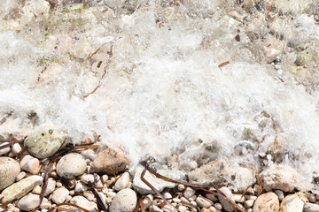 shore with stones
