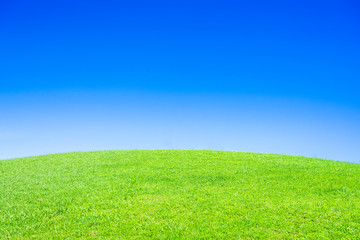 Obraz na płótnie Canvas 青空と緑の丘