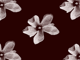 white flowers on a black background