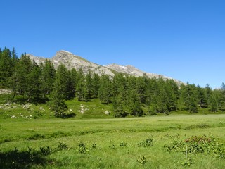 Fototapeta premium The Alps during a sunny summer day in Val Bognanco, near the town of Domodossola, Italy - June 2019.