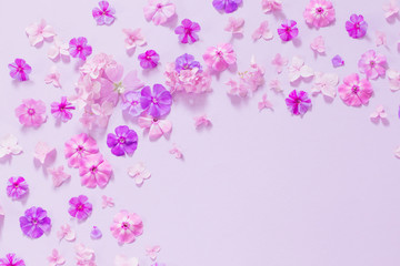 Fototapeta na wymiar summer flowers on paper background