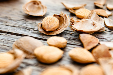 The core of apricots and stones on the background of old boards. Apricot pits for the manufacture of tablets and drugs.