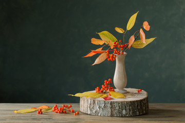 still life with rowan berries on  dark background