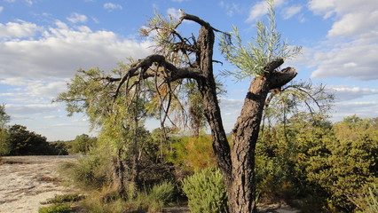 Perth, Western Australia, Australia